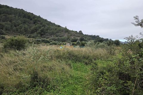 Helårsgrund i Rafelcofer, Valencia, Rafelcofer - € 14.500 | Ref: PNPT290 - foto 3