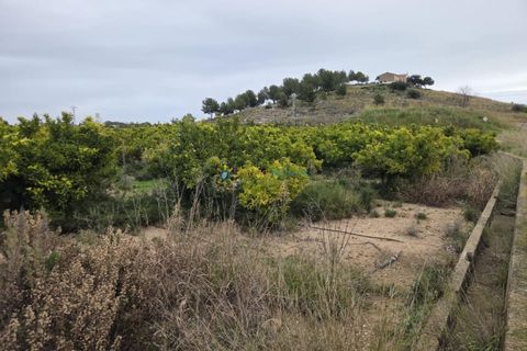 Helårsgrund i Rafelcofer, Valencia, Rafelcofer - € 14.500 | Ref: PNPT290 - foto 5