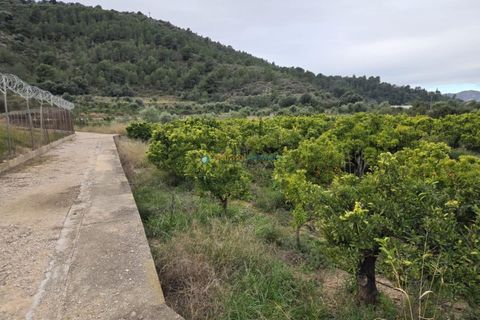Helårsgrund i Rafelcofer, Valencia, Rafelcofer - € 14.500 | Ref: PNPT290 - foto 9