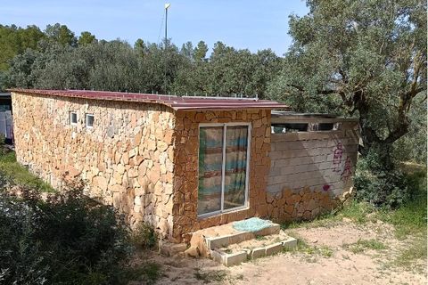Finca i Ginestar, Tarragona, Ginestar - € 27.500 | Ref: 1026 - foto 1