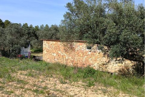 Finca i Ginestar, Tarragona, Ginestar - € 27.500 | Ref: 1026 - foto 9
