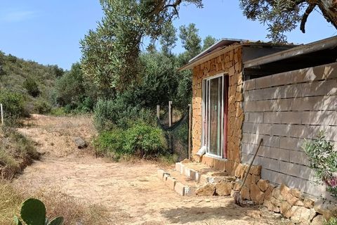 Finca i Ginestar, Tarragona, Ginestar - € 27.500 | Ref: 1026 - foto 16