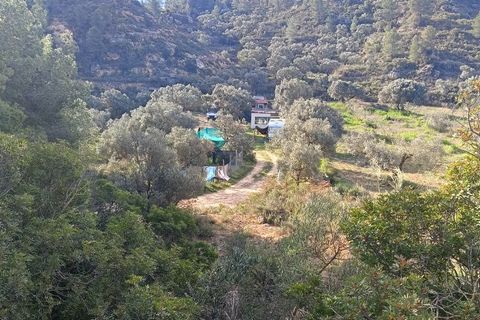 Finca i Ginestar, Tarragona, Ginestar - € 27.500 | Ref: 1026 - foto 15