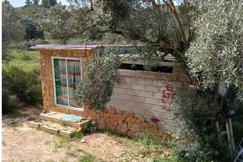 Finca i Ginestar, Tarragona, Ginestar - € 27.500 | Ref: 1026 - foto 4
