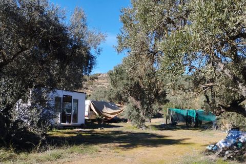 Finca i Ginestar, Tarragona, Ginestar - € 27.500 | Ref: 1026 - foto 21