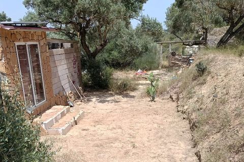 Finca i Ginestar, Tarragona, Ginestar - € 27.500 | Ref: 1026 - foto 20