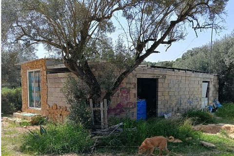 Finca i Ginestar, Tarragona, Ginestar - € 27.500 | Ref: 1026 - foto 6