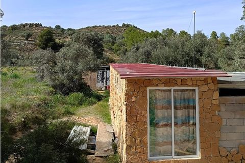 Finca i Ginestar, Tarragona, Ginestar - € 27.500 | Ref: 1026 - foto 3