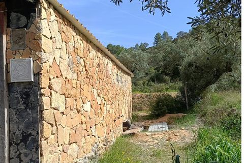 Finca i Ginestar, Tarragona, Ginestar - € 27.500 | Ref: 1026 - foto 7