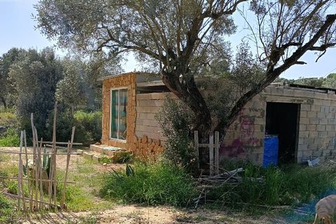Finca i Ginestar, Tarragona, Ginestar - € 27.500 | Ref: 1026 - foto 5