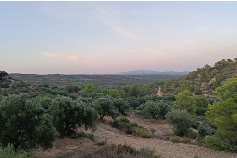 Finca i Ginestar, Tarragona, Ginestar - € 27.500 | Ref: 1026 - foto 27