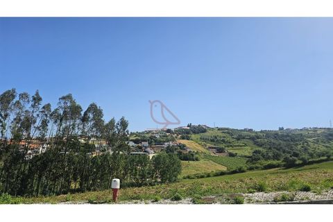 Helårsgrund i Batalha, Leiria, Batalha - € 65.000 | Ref: CV11001-419 - foto 2