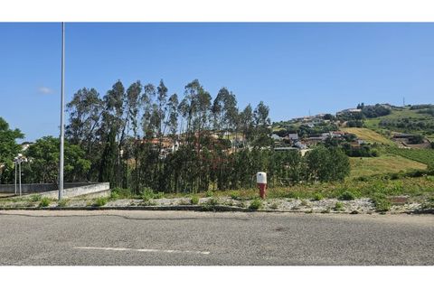 Helårsgrund i Batalha, Leiria, Batalha - € 65.000 | Ref: CV11001-419 - foto 3