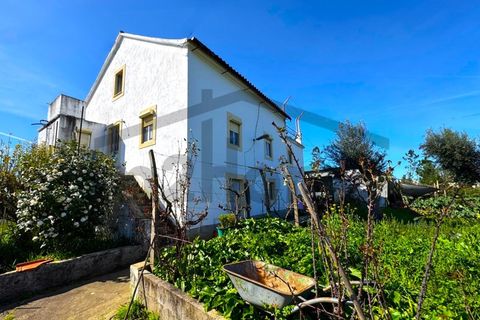 Villa i Serta, Castelo Branco, Serta - € 84 900 | Ref: m2H1097 - foto 17