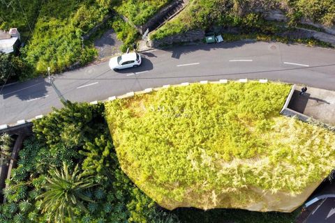 Helårsgrund i Ribeira Brava, Madeira, Ribeira Brava - € 60.000 | Ref: VSM10 - foto 4