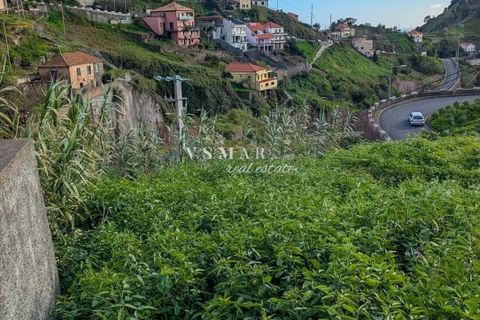 Helårsgrund i Ribeira Brava, Madeira, Ribeira Brava - € 60.000 | Ref: VSM10 - foto 7