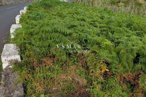 Helårsgrund i Ribeira Brava, Madeira, Ribeira Brava - € 60.000 | Ref: VSM10 - foto 8