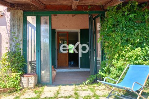 Villa a Terre Roveresche, Pesaro and Urbino, Terre Roveresche - € 120.000 | Ref: exp-012115 - foto 15