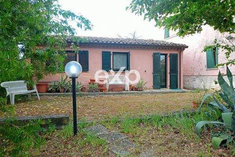 Villa a Terre Roveresche, Pesaro and Urbino, Terre Roveresche - € 120.000 | Ref: exp-012115 - foto 43