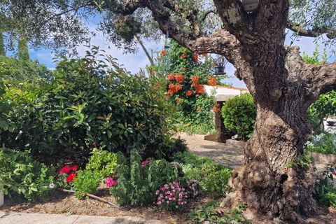 Landejendom i Penamacor, Castelo Branco, Penamacor - € 850.000 | Ref: CAS_488 - foto 2