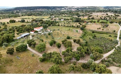 Landejendom i Penamacor, Castelo Branco, Penamacor - € 850.000 | Ref: CAS_488 - foto 5