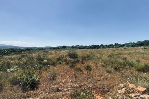 Tomt i Talhinhas e Bagueixe, Braganca, Talhinhas e Bagueixe - € 43 000 | Ref: SF-SAFTI:008324 - foto 4