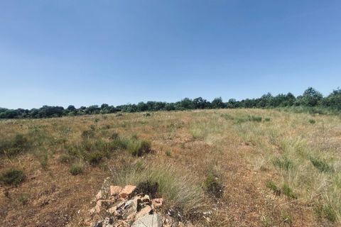Tomt i Talhinhas e Bagueixe, Braganca, Talhinhas e Bagueixe - € 43 000 | Ref: SF-SAFTI:008324 - foto 8