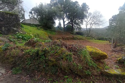 Helårsgrund i Valenca, Viana do Castelo, Valenca - € 35.500 | Ref: SF-SAFTI:007890 - foto 3