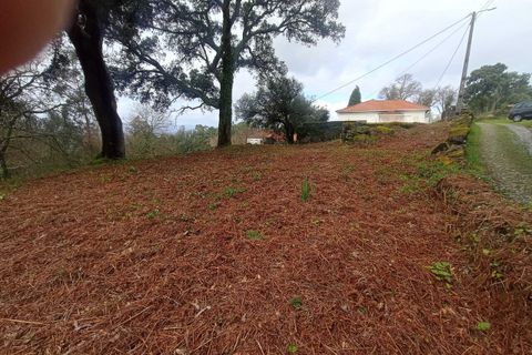 Helårsgrund i Valenca, Viana do Castelo, Valenca - € 35.500 | Ref: SF-SAFTI:007890 - foto 4