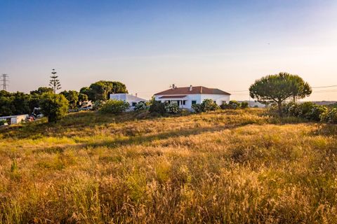 Farm i Pontevel, Santarem, Pontevel - € 450.000 | Ref: SF-SAFTI:008312 - foto 3