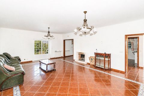 Farm i Pontevel, Santarem, Pontevel - € 450.000 | Ref: SF-SAFTI:008312 - foto 7