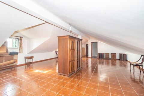 Farm i Pontevel, Santarem, Pontevel - € 450.000 | Ref: SF-SAFTI:008312 - foto 19