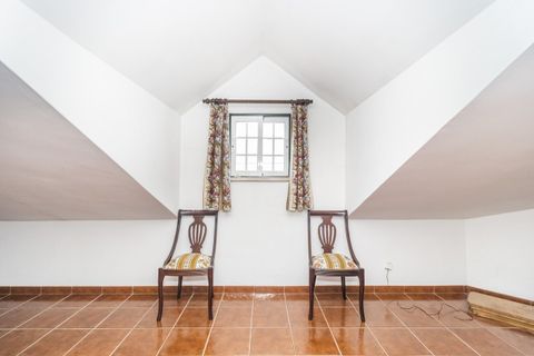 Farm i Pontevel, Santarem, Pontevel - € 450.000 | Ref: SF-SAFTI:008312 - foto 20