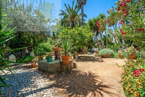 Villa i Moncarapacho, Faro, Moncarapacho - € 1 100 000 | Ref: PALC_214 - foto 49