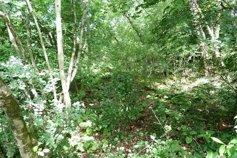 Tomt i Monrupino, Trieste, Monrupino - € 99 000 | Ref: HOA-727 - foto 7