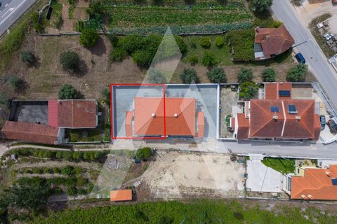 Byhus i Mealhada, Aveiro, Mealhada - € 375.000 | Ref: 1121236/26CB - foto 3