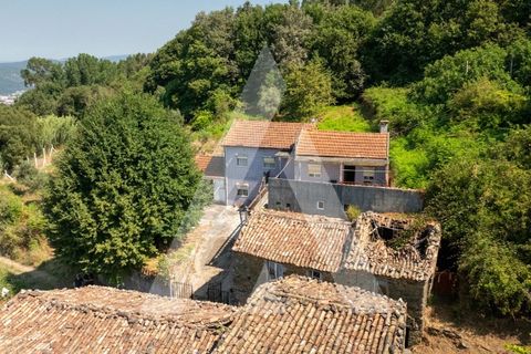Farm i Miranda do Corvo, Coimbra, Miranda do Corvo - € 158.000 | Ref: 1121177/25CB - foto 3