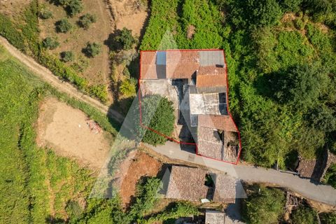 Farm i Miranda do Corvo, Coimbra, Miranda do Corvo - € 158.000 | Ref: 1121177/25CB - foto 4