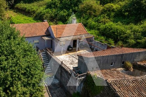Farm i Miranda do Corvo, Coimbra, Miranda do Corvo - € 158.000 | Ref: 1121177/25CB - foto 6
