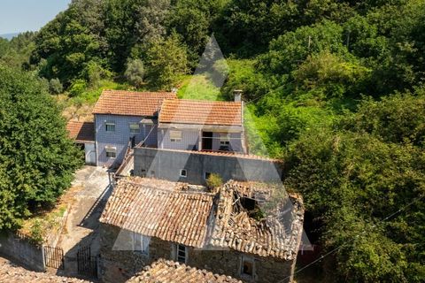 Farm i Miranda do Corvo, Coimbra, Miranda do Corvo - € 158.000 | Ref: 1121177/25CB - foto 8
