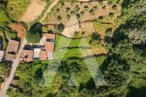 Farm i Miranda do Corvo, Coimbra, Miranda do Corvo - € 158.000 | Ref: 1121177/25CB - foto 10