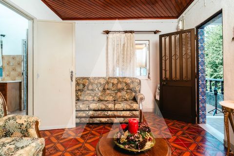 Farm i Miranda do Corvo, Coimbra, Miranda do Corvo - € 158.000 | Ref: 1121177/25CB - foto 19