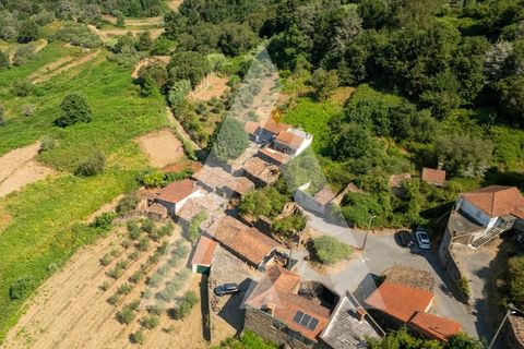 Farm i Miranda do Corvo, Coimbra, Miranda do Corvo - € 158.000 | Ref: 1121177/25CB - foto 22