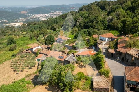 Farm i Miranda do Corvo, Coimbra, Miranda do Corvo - € 158.000 | Ref: 1121177/25CB - foto 23