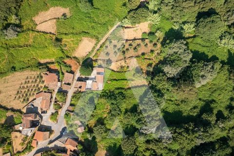 Farm i Miranda do Corvo, Coimbra, Miranda do Corvo - € 158.000 | Ref: 1121177/25CB - foto 36