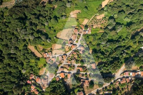 Farm i Miranda do Corvo, Coimbra, Miranda do Corvo - € 158.000 | Ref: 1121177/25CB - foto 37