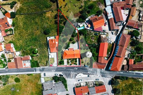 Villa a Santo Andre, Setubal, Santo Andre - € 1.500/mes | Ref: 1121256/26CB - foto 9