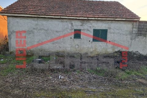 Villa a Braganca, Braganca, Braganca - € 22.500 | Ref: 43602 - foto 2