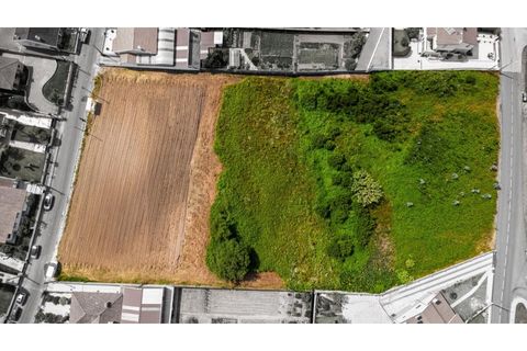 Helårsgrund i Aveiro, Aveiro, Aveiro - € 1.400.000 | Ref: KWPT-033435 - foto 5