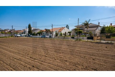 Helårsgrund i Aveiro, Aveiro, Aveiro - € 1.400.000 | Ref: KWPT-033435 - foto 10
